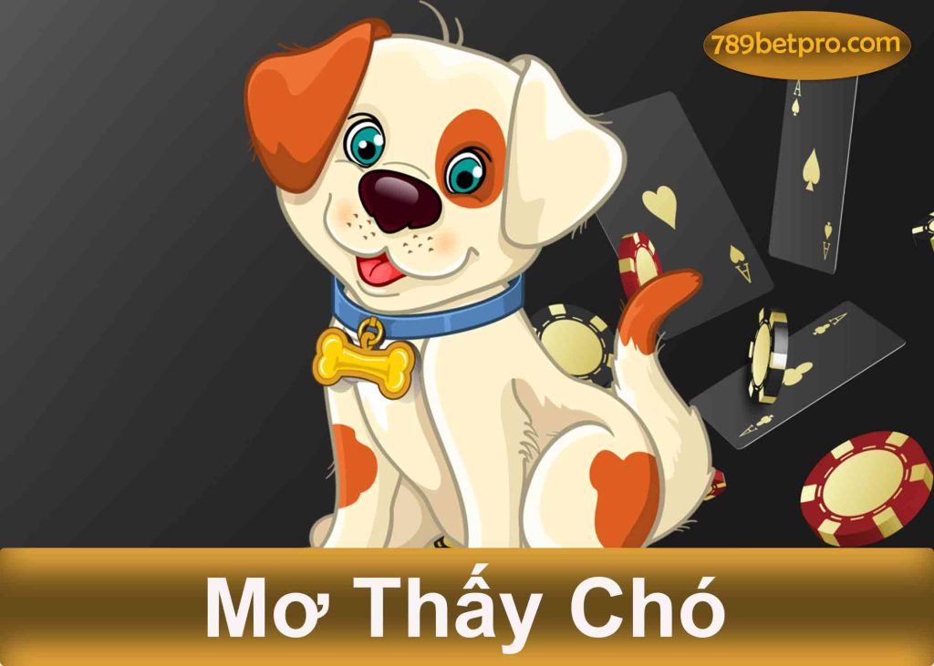 Mơ thấy chó