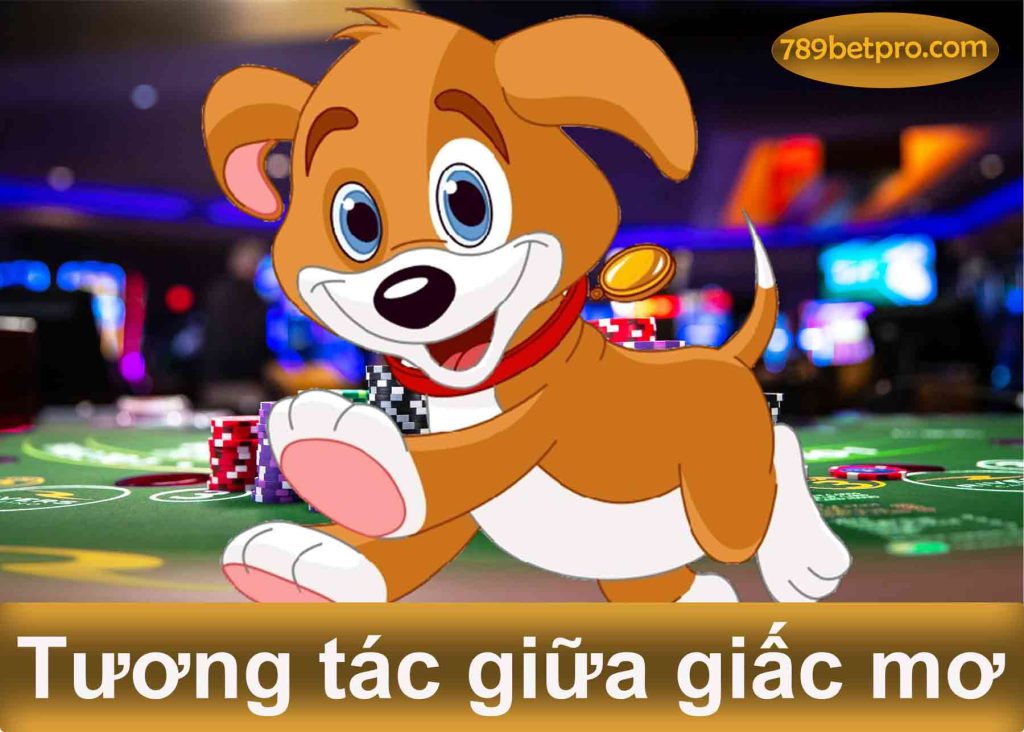 tương tác giữa giấc mơ